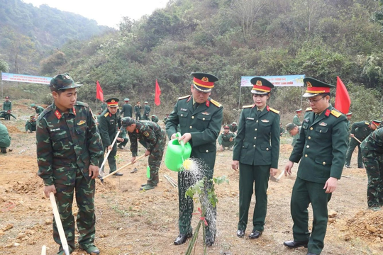 Các địa phương đồng loạt phát động “Tết trồng cây” Xuân Bính Ngọ 2026