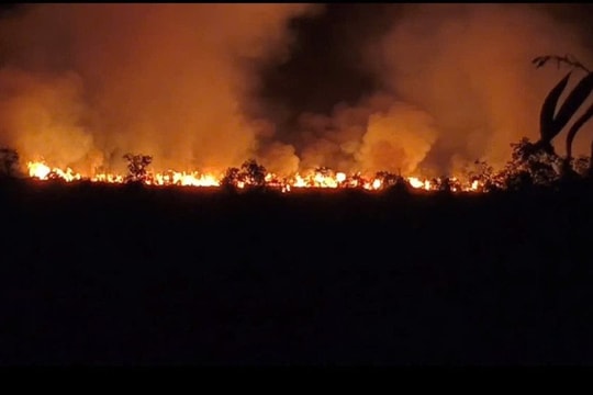 Cháy rừng đặc dụng tại Khu bảo tồn Phú Mỹ