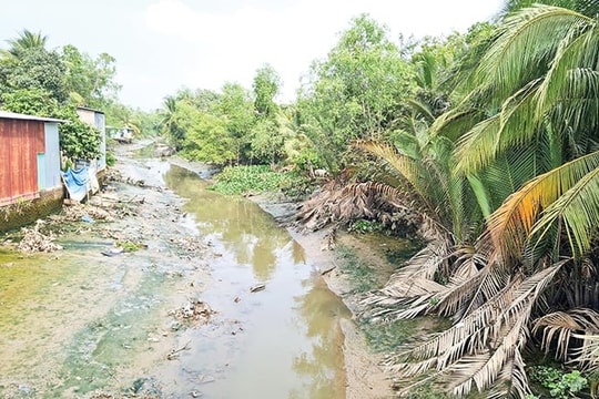 Tăng cường ứng phó xâm nhập mặn tại Đồng bằng sông Cửu Long