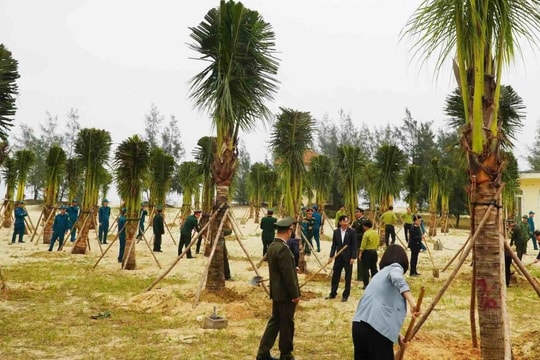 Quảng Trị đặt mục tiêu trong năm 2026 trồng mới 22.800 ha rừng và 3,5 triệu cây xanh