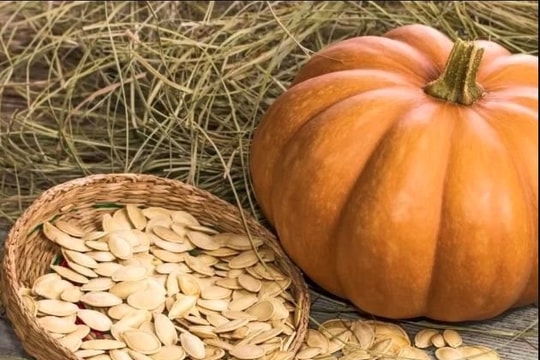 Nhiều bổ dưỡng nhưng hạt bí lại không phù hợp với một số nhóm người