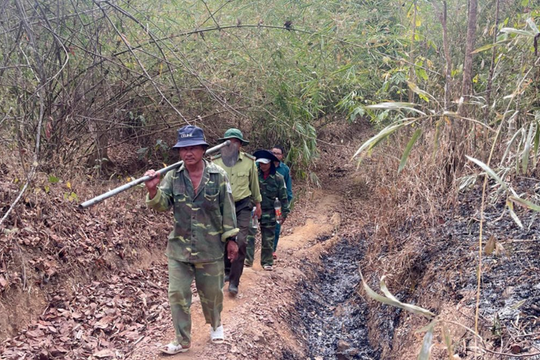 TPHCM siết chặt công tác bảo vệ rừng, chủ động phòng cháy rừng mùa khô