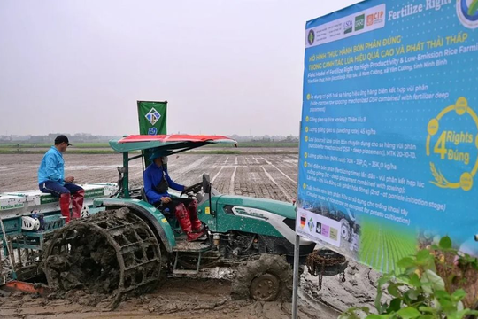 Ninh Bình: Khởi động mô hình canh tác lúa năng suất cao, giảm phát thải