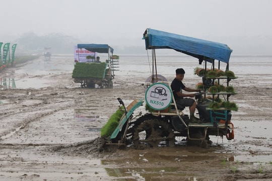 Bám sát khung thời vụ, nâng cao hiệu quả sản xuất vụ xuân