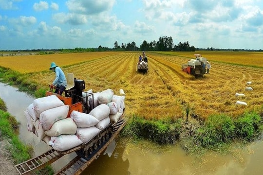 Nông nghiệp Vĩnh Long đạt giá trị sản xuất hơn 102.000 tỷ đồng năm 2025