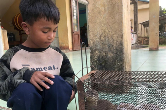 Quảng Trị: Trạm Kiểm lâm Đakrông tiếp nhận cá thể rái cá quý hiếm