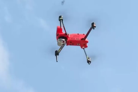 Ứng dụng công nghệ giám sát hơn 7.300 ha rừng ở Vườn quốc gia Tràm Chim