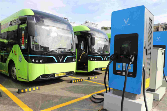 TP.HCM tăng thêm 25 tuyến buýt điện từ 1/3, thúc đẩy giao thông xanh