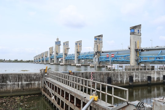 An Giang: Giữ ngọt, ngăn mặn