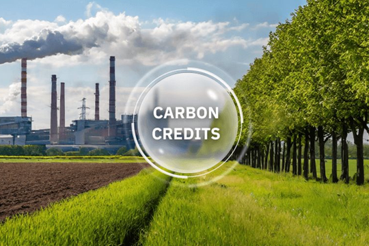 Bộ NN-MT thống nhất quản lý, cấp mã và số sê-ri hạn ngạch phát thải trên toàn quốc