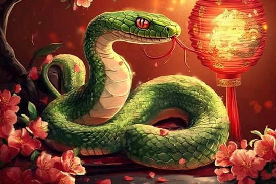 Xem tử vi hôm nay, tử vi 12 con giáp ngày 27/02/2026: Tuổi Tỵ sự nghiệp thuận lợi, tình cảm êm đềm