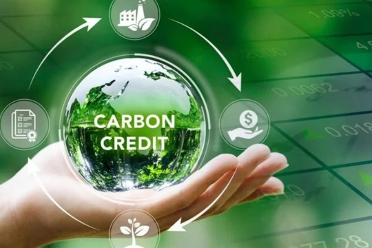 Thị trường carbon toàn cầu bước vào giai đoạn vận hành với lô tín chỉ đầu tiên