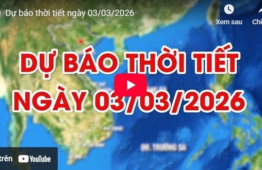 Dự báo thời tiết ngày 03/03/2026: Đêm và sáng có mưa