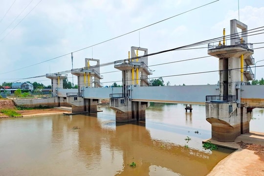 Chủ động ứng phó cao điểm xâm nhập mặn, bảo vệ sản xuất và dân sinh