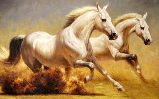 Xem tử vi hôm nay, tử vi 12 con giáp ngày 03/03/2026: Tuổi Tý tình cảm khời sắc, tuổi Ngọ chú ý sức khỏe