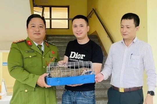 Quảng Trị tiếp nhận cá thể tê tê quý hiếm do người dân tự nguyện giao nộp