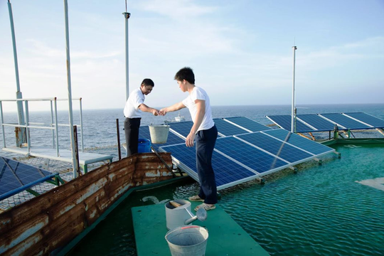 Huấn luyện giỏi, sẵn sàng chiến đấu cao gắn với bảo vệ môi trường sinh thái