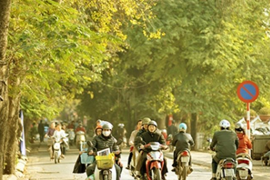 Miền Bắc trải qua mùa đông ấm kỷ lục