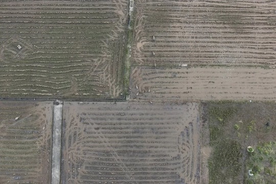 Hà Nội phát hiện hơn 100 “điểm nóng” nguy cơ bụi nhờ giám sát bằng vệ tinh và drone