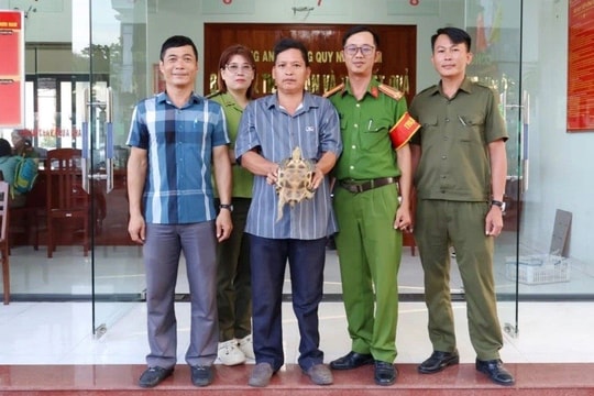 Rùa cổ sọc quý hiếm bò lạc vào vườn nhà dân