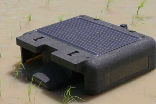 Thêm giải pháp công nghệ cho mục tiêu "lúa xanh" ở Đồng bằng sông Cửu Long