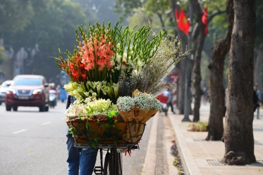 Dự báo thời tiết dịp 8/3: Miền Bắc có thể mưa dông về đêm, Nam Bộ ngày nắng