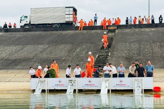 Thả 30.000 cá giống xuống hồ Thủy điện Sông Tranh 2, tái tạo nguồn lợi thủy sản