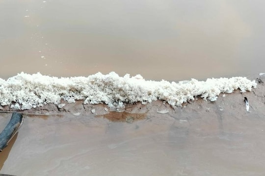 Cà Mau: Mưa trái mùa gây thiệt hại gần 13 tỷ đồng