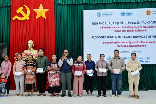 Hơn 1.300 hộ dân vùng thiên tai ở Gia Lai được hỗ trợ hơn 4,7 tỷ đồng