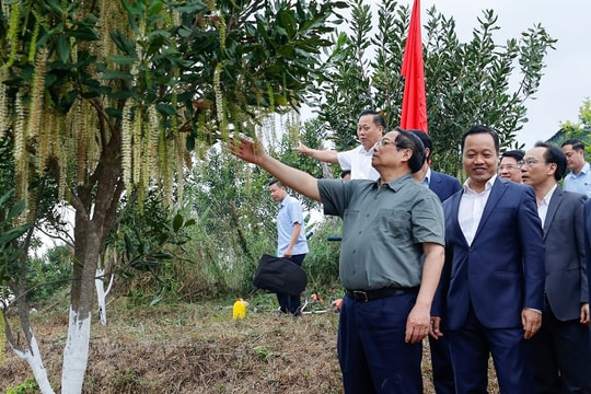 Thủ tướng Phạm Minh Chính: Biến tiềm năng núi rừng Tây Bắc thành nguồn lực phát triển