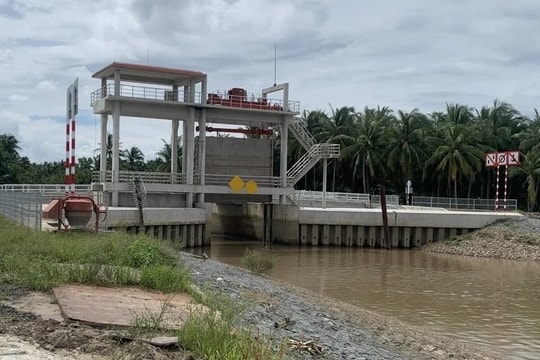 Xâm nhập mặn trên các sông ở Vĩnh Long dự báo tăng mạnh vào giữa tháng 3