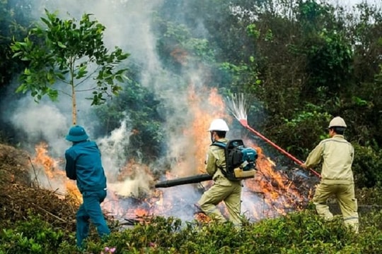 Đà Nẵng siết chặt trách nhiệm phòng cháy chữa cháy rừng ở cấp xã