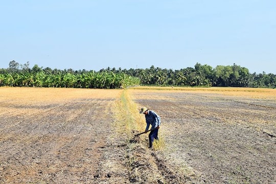 Cảnh báo hạn hán, xâm nhập mặn tại Đồng bằng sông Cửu Long