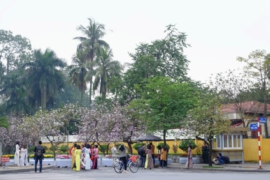 Dự báo thời tiết Hà Nội ngày 13/03/2026: Sáng sớm có sương mù, ngày nắng