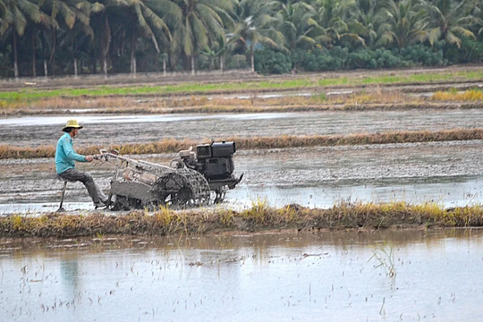 Ứng phó hạn mặn, Vĩnh Long tăng cường điều tiết nguồn nước phục vụ sản xuất nông nghiệp