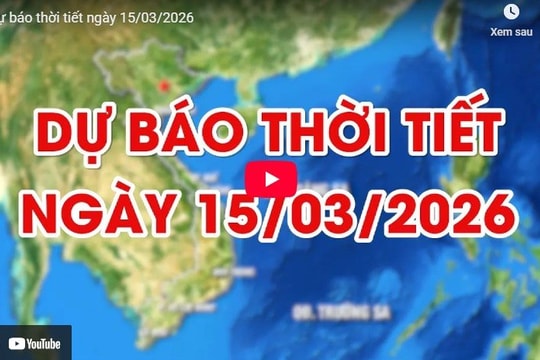 Dự báo thời tiết ngày 15/03/2026: Sáng có mưa nhỏ, sương mù rải rác