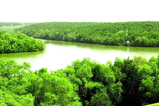 Rừng phòng hộ Cần Giờ phát triển du lịch sinh thái gắn với bảo tồn rừng ngập mặn