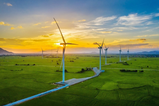 Điện gió và mặt trời giúp Tây Ban Nha đứng vững trước biến động năng lượng