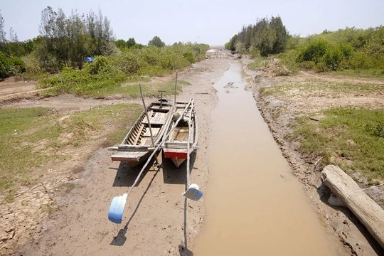 Đồng Nai: Mùa khô 2026 xuất hiện nhiều mưa trái mùa, nắng nóng gia tăng từ tháng 3
