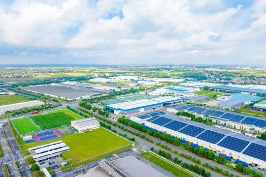 IMC đồng hành cùng doanh nghiệp nâng cao năng lực quản trị và tuân thủ thuế