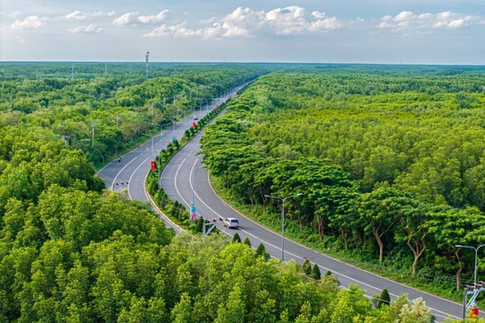 TP.HCM phê duyệt đề án phát triển du lịch sinh thái rừng ngập mặn Cần Giờ đến năm 2030