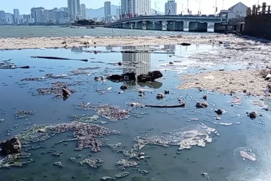 Xác minh nguồn nước thải đen kịt chảy ra biển Nha Trang