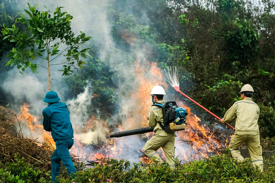 Nguyên tắc phòng cháy rừng giúp giảm thiểu thiệt hại trong mùa nắng nóng