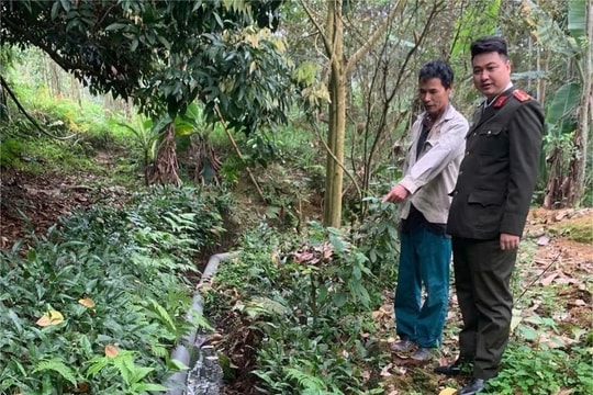 Phú Thọ: Xử phạt hơn 100 triệu đồng chủ trang trại lợn xả thải gây ô nhiễm