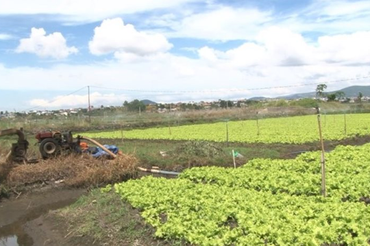 Lâm Đồng chủ động ứng phó nguy cơ thiếu nước tại khu vực phía Tây