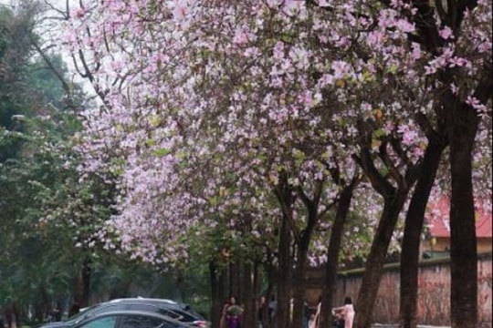 Dự báo thời tiết Hà Nội ngày 20/03/2026: Sáng sớm có sương mù, ngày nắng