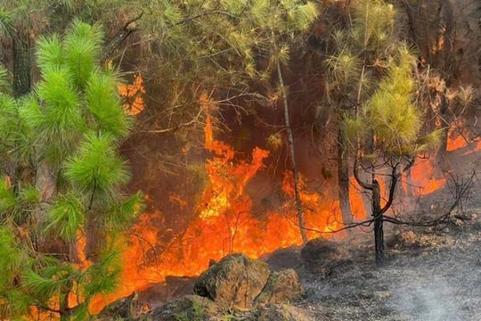 Nguy cơ cháy rừng tăng cao, Nghệ An triển khai đồng bộ giải pháp ứng phó