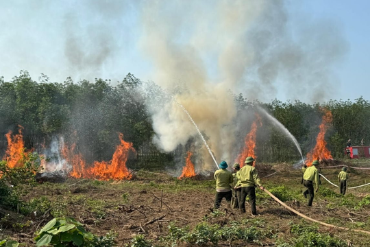 Chủ động ứng phó cháy rừng trong bối cảnh nắng nóng gia tăng