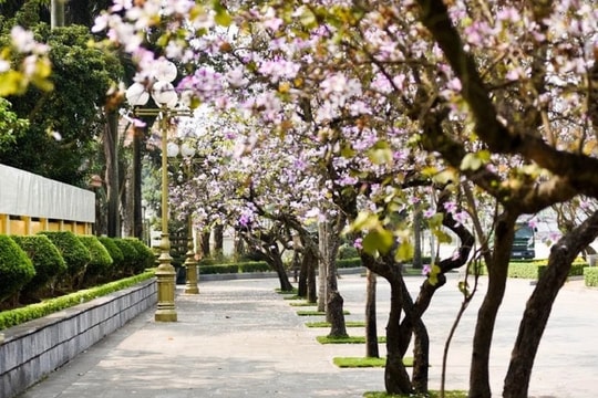 Dự báo thời tiết Hà Nội ngày 23/03/2026: Sáng sớm có sương mù, ngày nắng