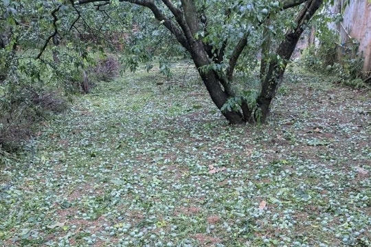 Mưa đá, dông lốc tại các tỉnh miền núi phía Bắc, hàng trăm ngôi nhà bị hư hại